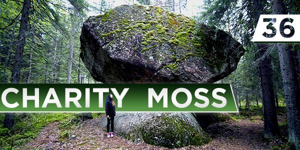 36 Charity & Moss