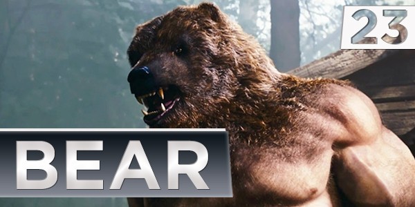 23 Bear