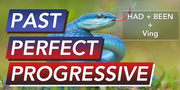 Past Perfect Progressive