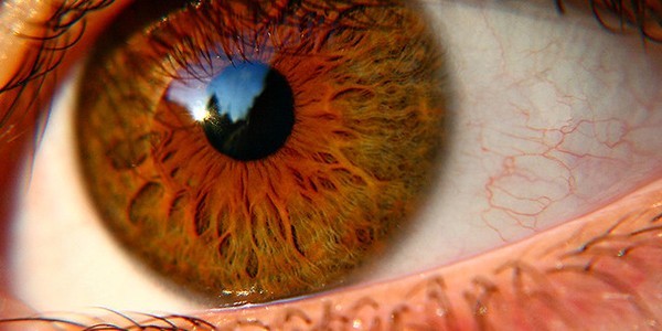 2 Eye.jpg