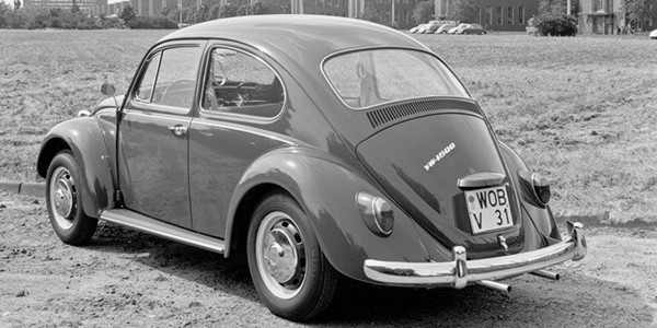 3Beetle.jpg
