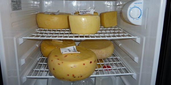 6 Cheese.jpg