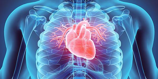 8 Heart.jpg 8 Heart.jpg
