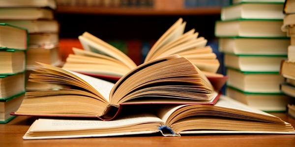 2 Book.jpg