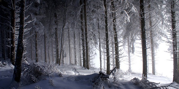 1Winter.jpg