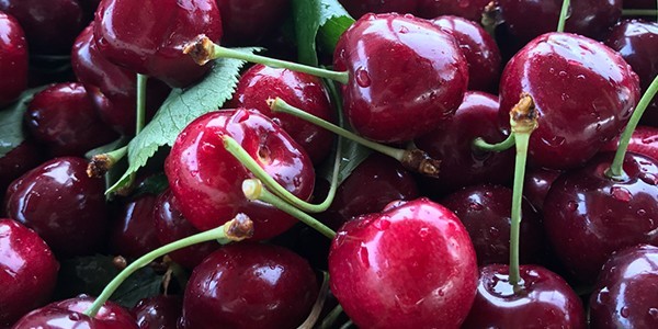 1 Cherry.jpg