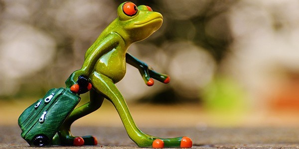 4Frog.jpg
