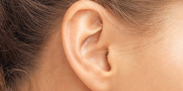 2 Ear.jpg