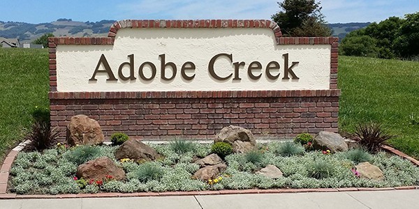 10Adobe.jpg